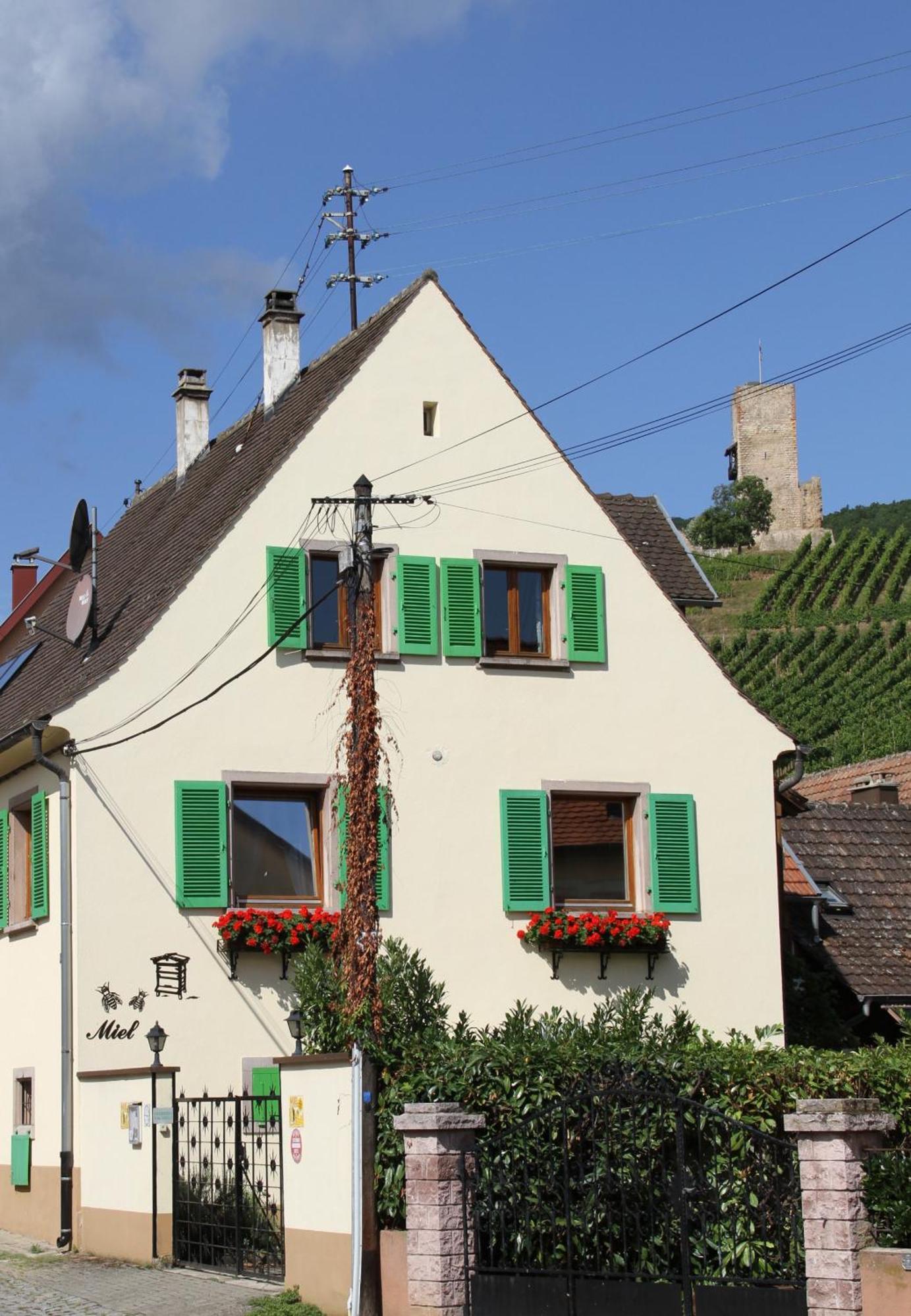 les Gîtes 2-4 pers Rémy HEROLD Katzenthal Extérieur photo